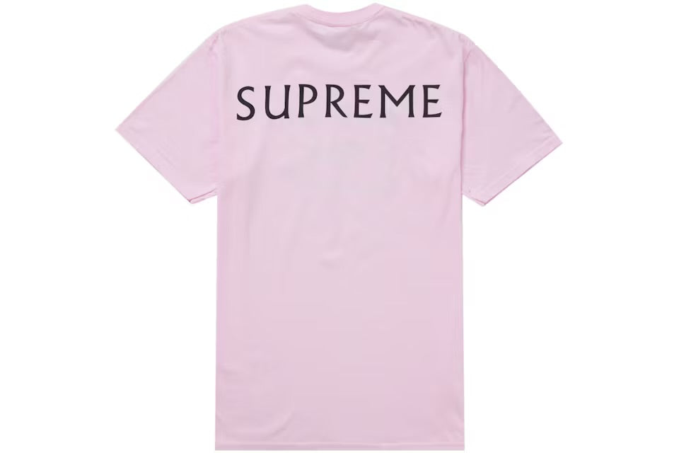 SUPREME X DAMIEN HIRTS (TALLA L)