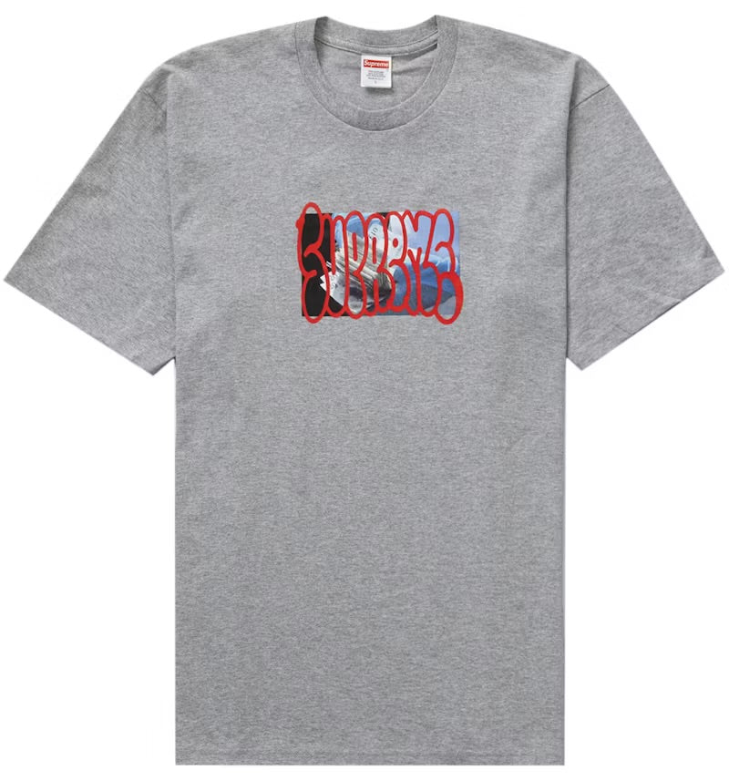 SUPREME “PAYMENT GREY” (TALLA L)