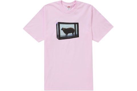 SUPREME X DEMIEN HIRTS (TALLA L)