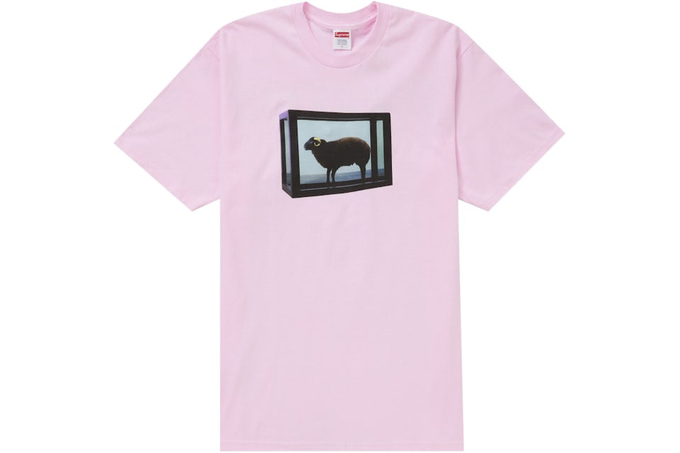 SUPREME X DAMIEN HIRTS (TALLA L)