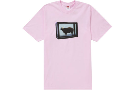 SUPREME X DAMIEN HIRTS (TALLA L)