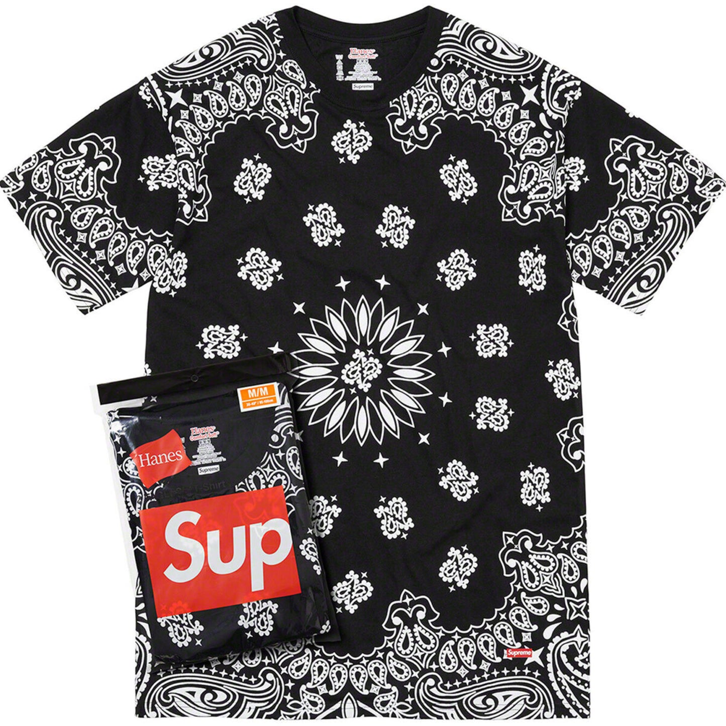 HANES BANDANA TAGLESS TEES CAMISETA
